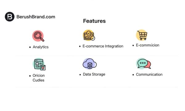 BerushBrand.com: Overview, Features, and Online Presence