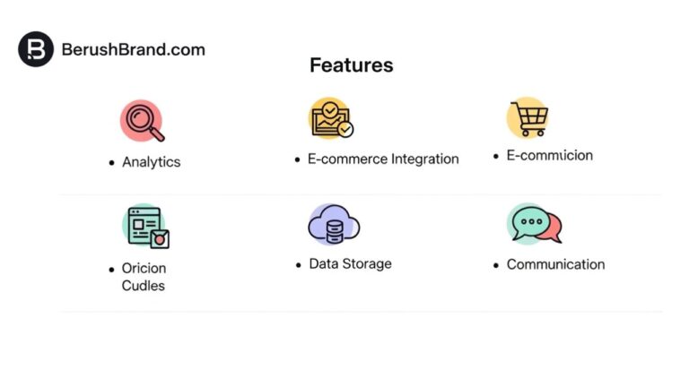 BerushBrand.com: Overview, Features, and Online Presence